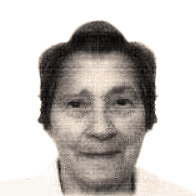 Katica Filipović