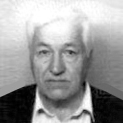David Vujović