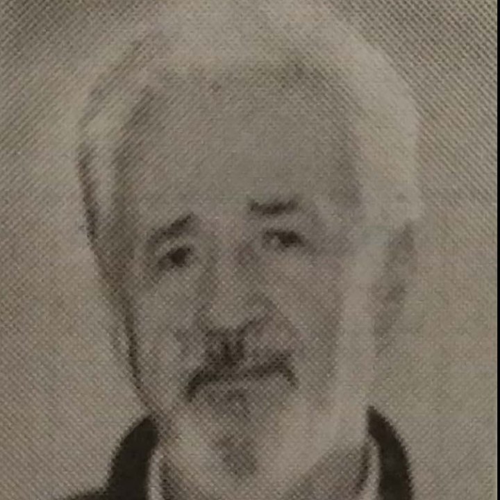 Luka Žarković