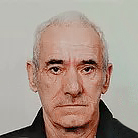 Mato Matić