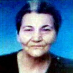 Anica šešlija