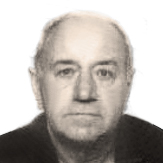 Vladimir Vidić