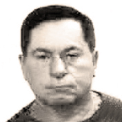 dipl. ing. Josip Vukman
