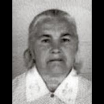 Bejhana Šljivo