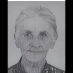 Novka Babić
