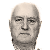 Josip Maltar