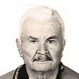 Stipe Ercegović