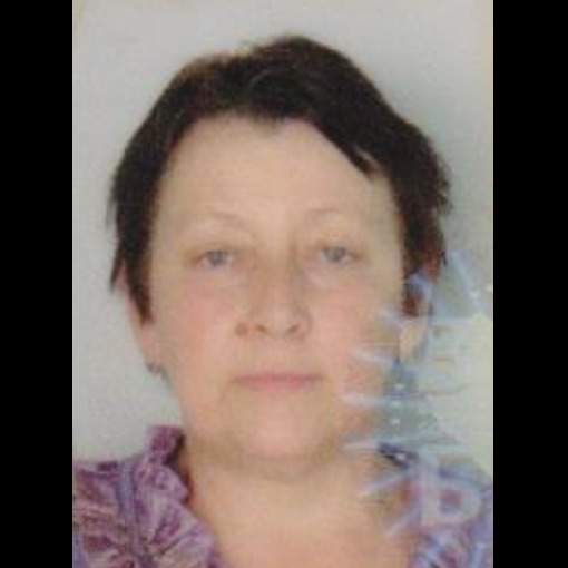 Zehra Alihodžić