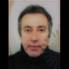Amir-Tula Bjelanović