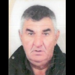 Simo Vujović