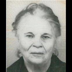 Persa Čubrilo