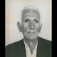 Nikola Vujović
