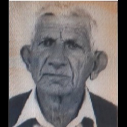 Neđo Bokun