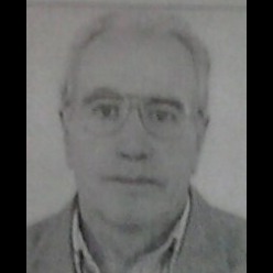 Panto Jelić