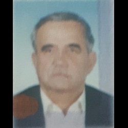 Božo Radović