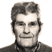 Bože Cvitković
