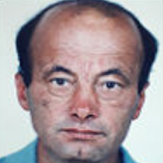 VLADO MILIČEVIĆ