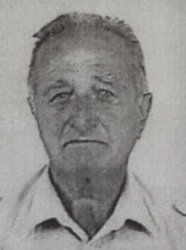 Radivoje Bokić