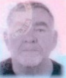 Ivica Ribičić - Riba