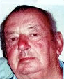 Ivan Petričušić - Školarević