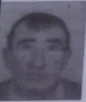 PETAR BULAJA