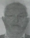 MATO PETROVIĆ