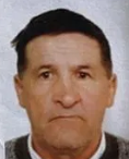 ALOJZIJE VLADIĆ