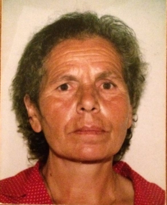 IVUŠA MILIČEVIĆ