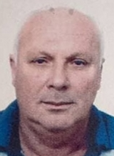 BORKO BRSTINA