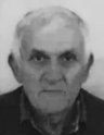 ANĐELKO NOVOKMET