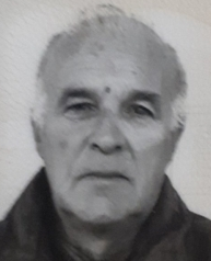 SAVA GOLUB