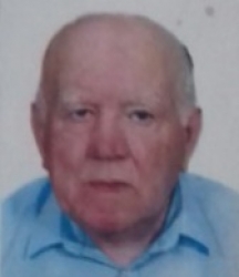 STRAJO VLATKOVIĆ