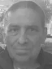 NIKO PAŠALIĆ