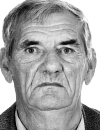 NEDILJKO STEVANJA