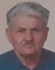 VELEMIR MILENIĆ