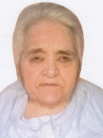 VILKA VILA MIŠETIĆ