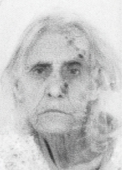 ZIBA ČOMOR