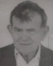 VASILJ PEROVIĆ