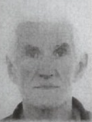 NIKO NOVOKMET