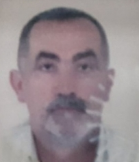 BORISLAV PETKOVIĆ