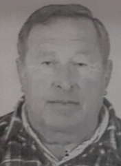 RADMILO DIVLJAN
