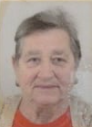 SEFIJA MAČAK (70)