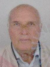 SEJDALIJA KREŠTALICA (83)