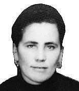 IVA ILIJIĆ