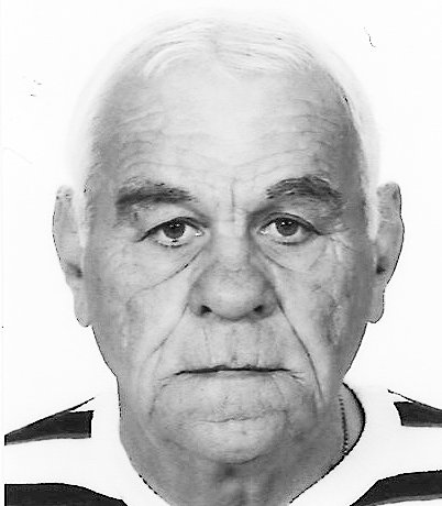 NIKOLA VUČICA