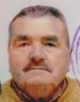 ADIL MIRVIĆ (81)