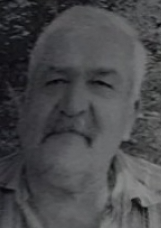 NEĐELJKO MILIĆEVIĆ