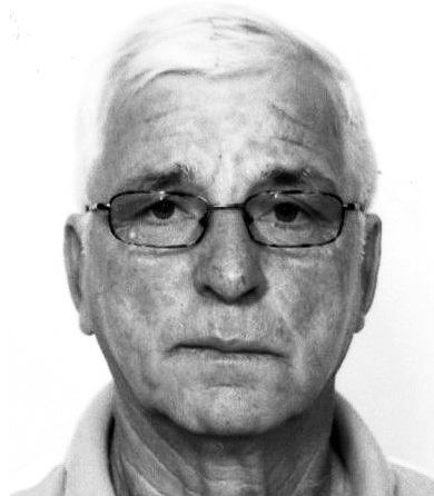 VOJKO KRSTULOVIĆ