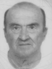 ANTE BABIĆ