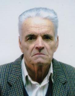ZAHIR FESTIĆ (81)